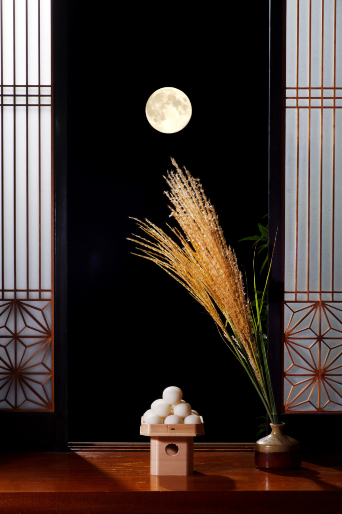 Fotolia 69774480 - 月見 © sasazawa